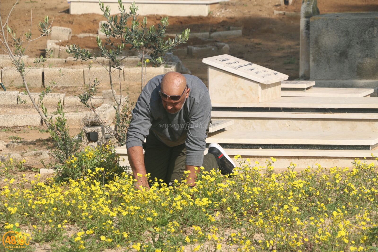 taso 23 tendedf (27).jpg